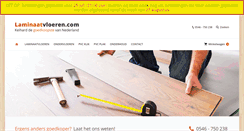 Desktop Screenshot of laminaatvloeren.com